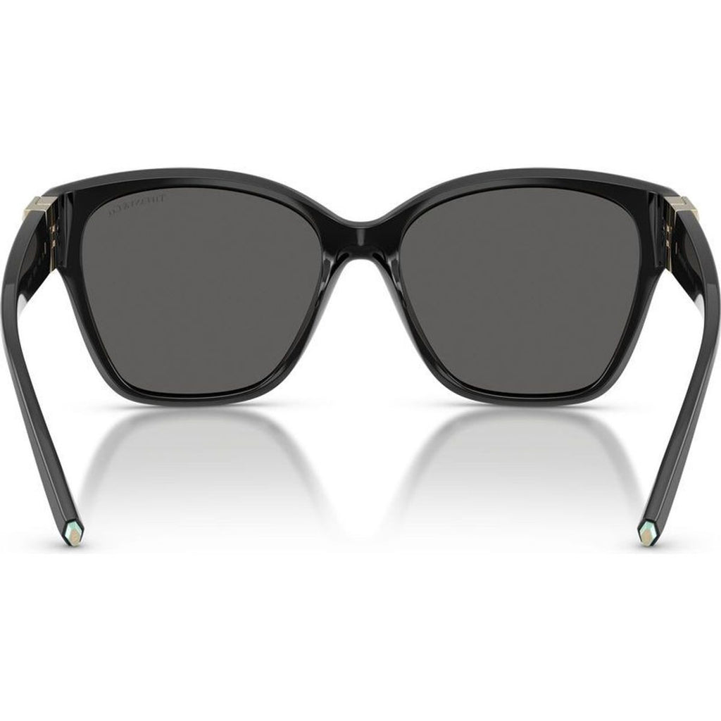 TF4254U, Black/Dark Grey Lenses
