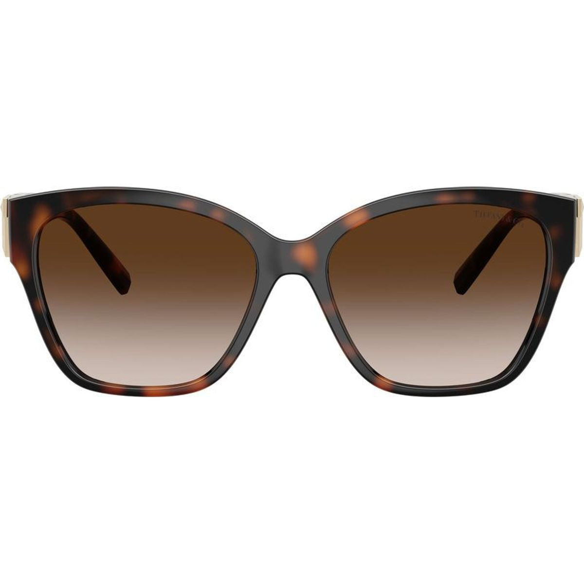 TF4254U, Havana/Brown Gradient Lenses