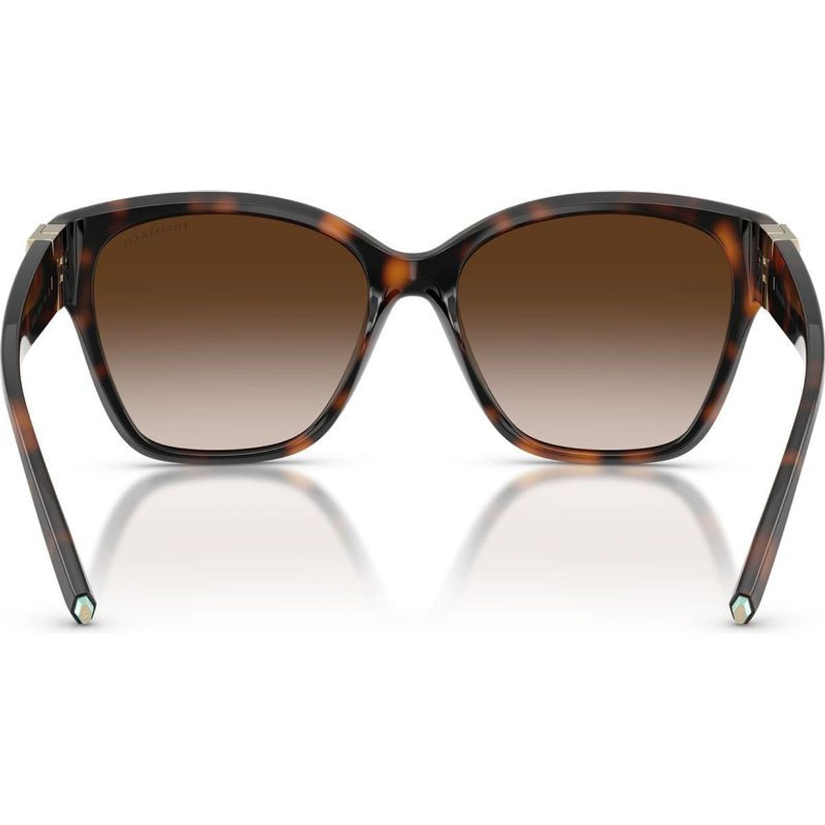 TF4254U, Havana/Brown Gradient Lenses