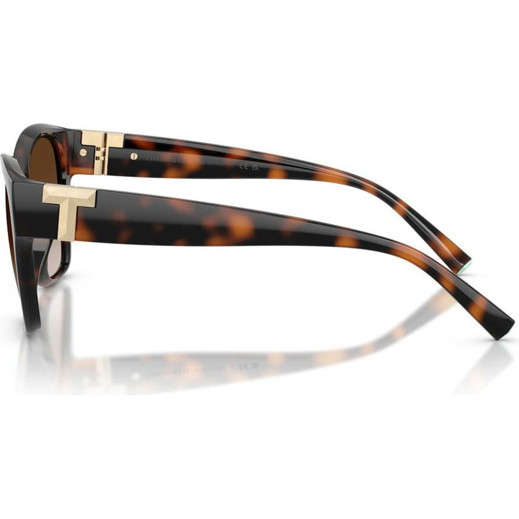 TF4254U, Havana/Brown Gradient Lenses