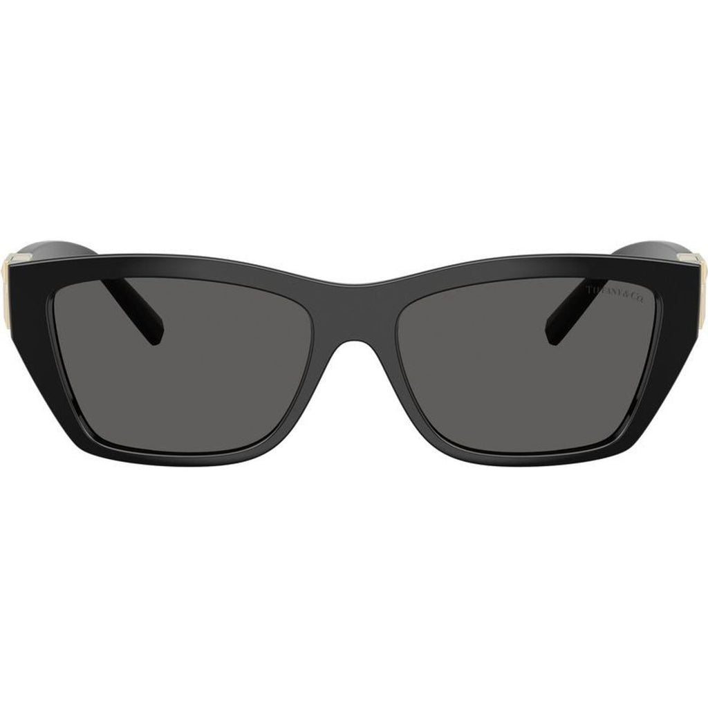 TF4255U, Black/Dark Grey Lenses