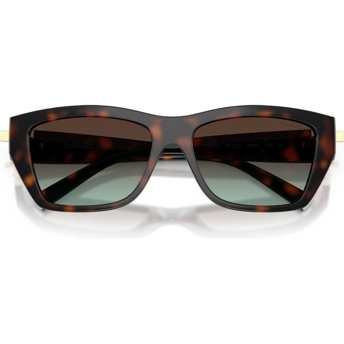TF4255U, Havana/Brown Azure Gradient Lenses