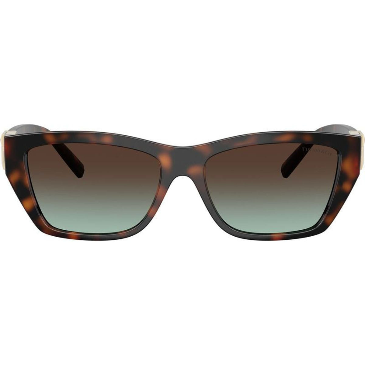 TF4255U, Havana/Brown Azure Gradient Lenses