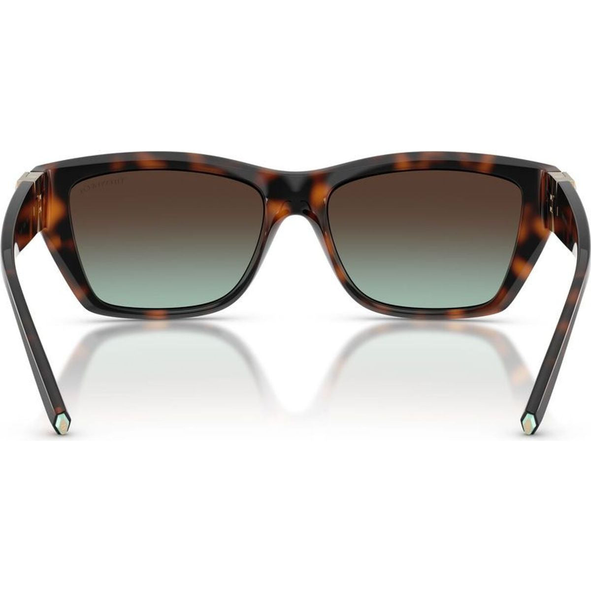 TF4255U, Havana/Brown Azure Gradient Lenses