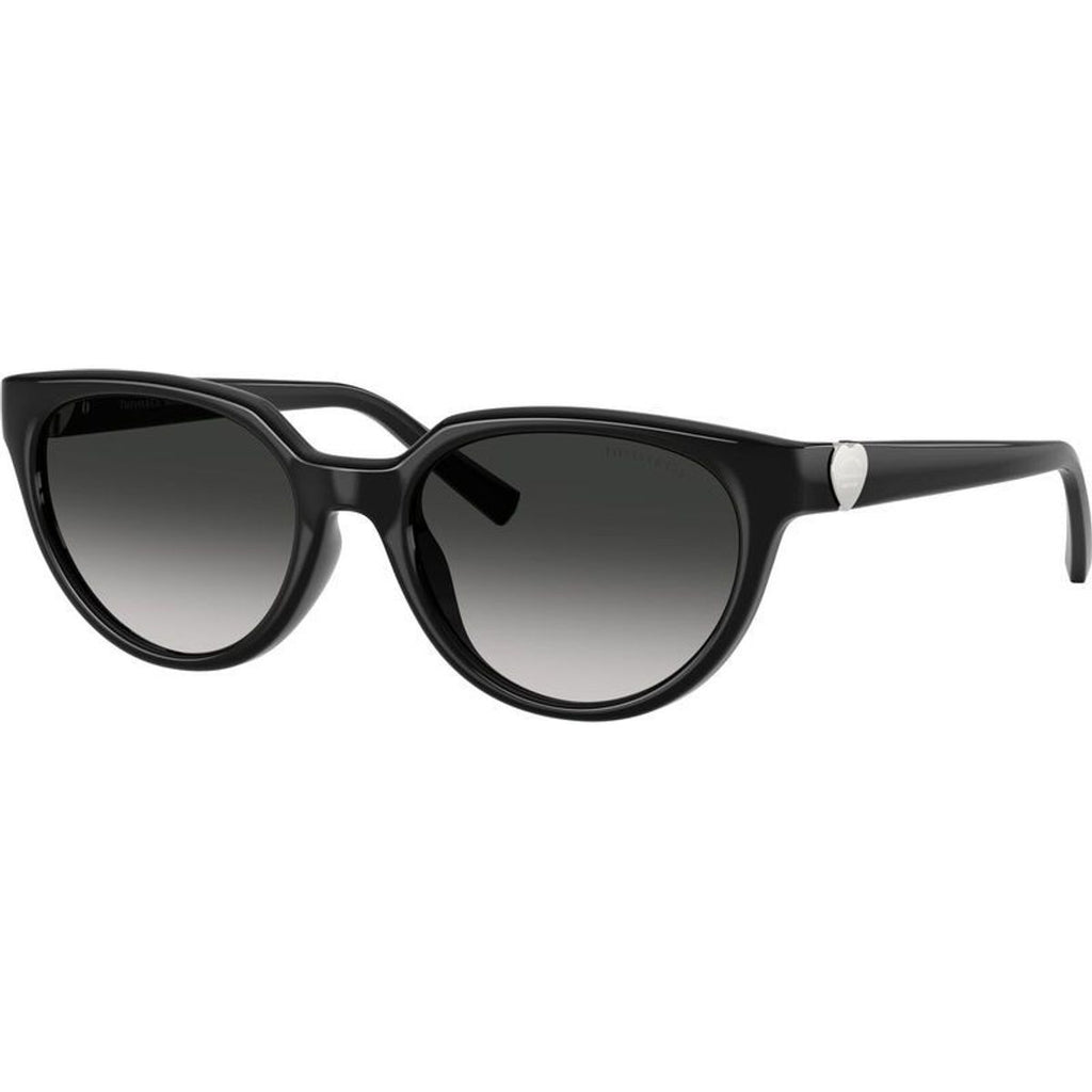 TF4256D, Black/Grey Gradient Lenses