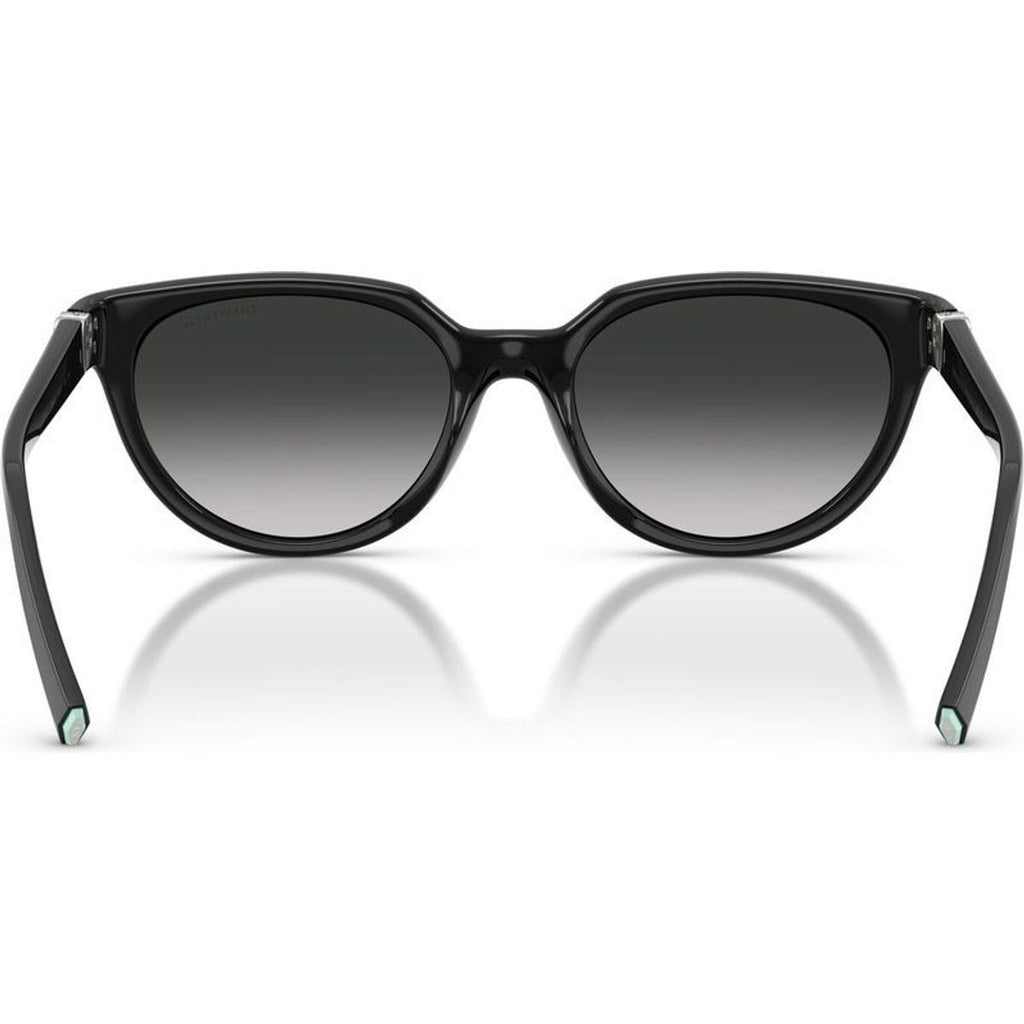 TF4256D, Black/Grey Gradient Lenses