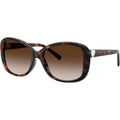 TF4257U, Havana/Brown Gradient Lenses