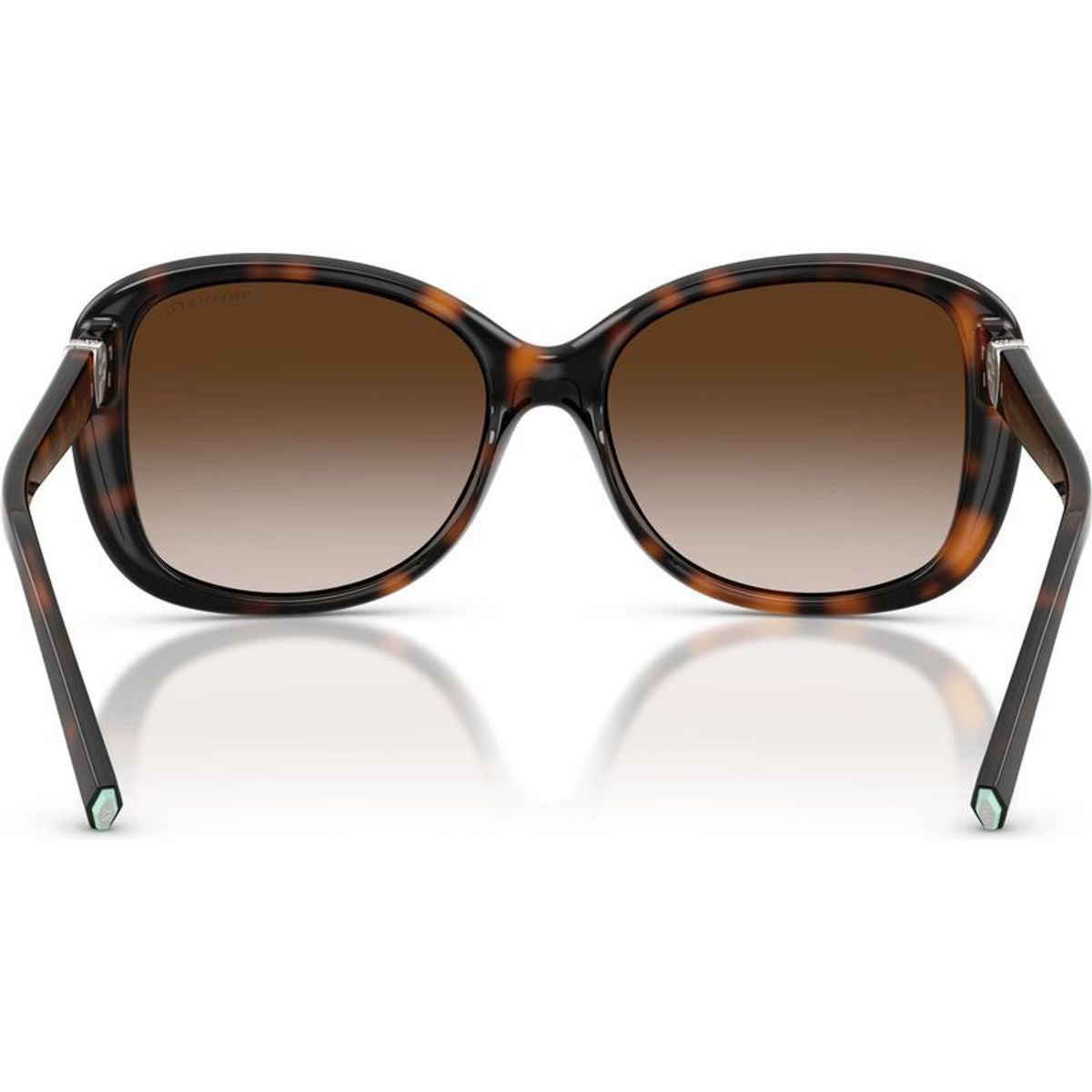 TF4257U, Havana/Brown Gradient Lenses