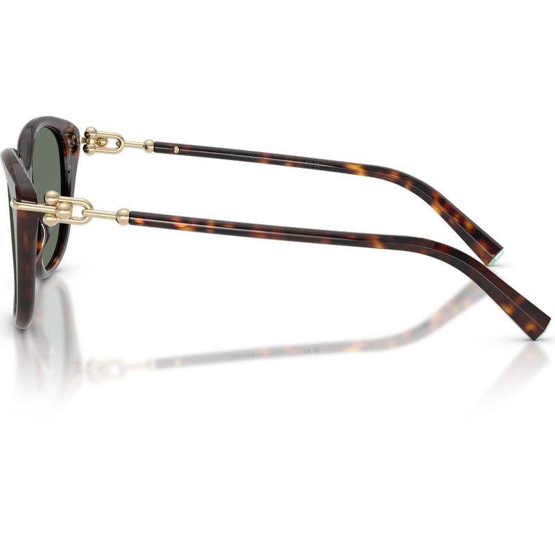 Tiffany & Co. TF4267 Havana Dark Green Side