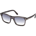 Barron FT1179, Shiny Grey/Smoke Gradient Lenses