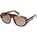 Blake FT1102, Dark Havana/Brown Gradient Lenses