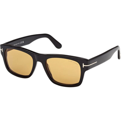 Smith 02 FT1303, Shiny Black/Brown Lenses 53 Eye Size