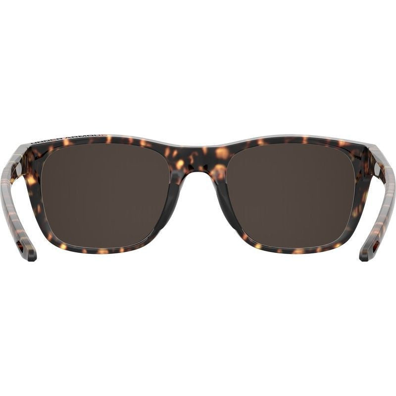 UA 0013/G/S, Dark Havana/Brown Lenses