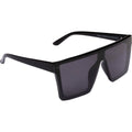 Rogue PR4025, Shiny Black/Smoke Polarised Lenses