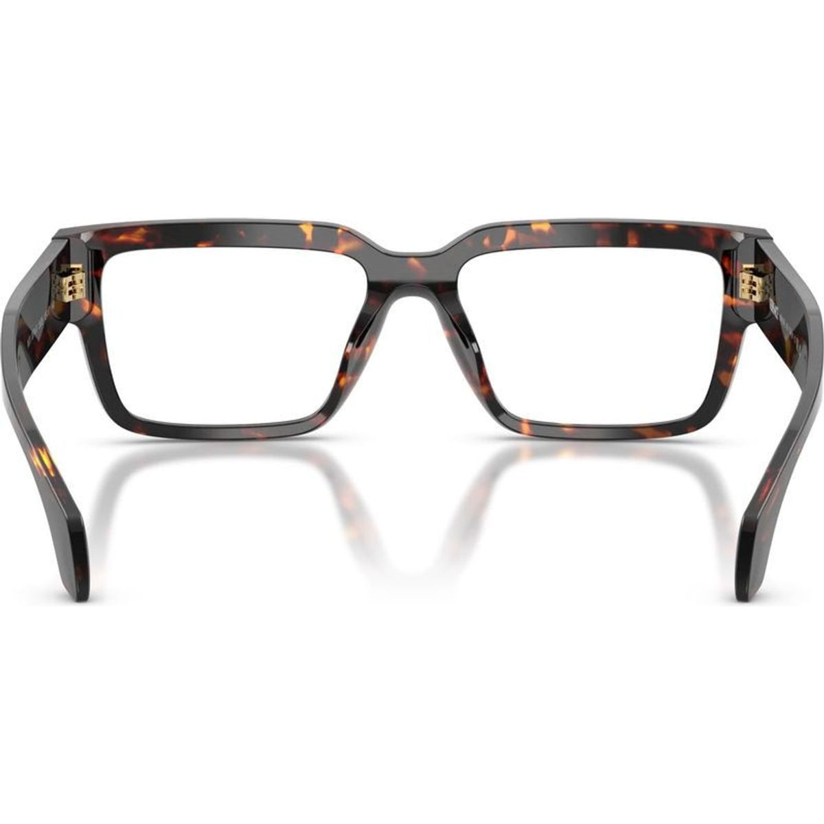 VE3374U, Havana/Clear Lenses 55 Eye Size