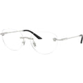 VE1305, Silver/Clear Lenses