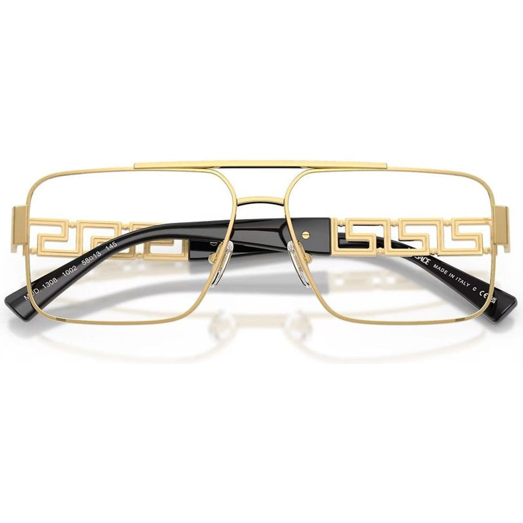 VE1308, Gold/Clear Lenses 56 Eye Size
