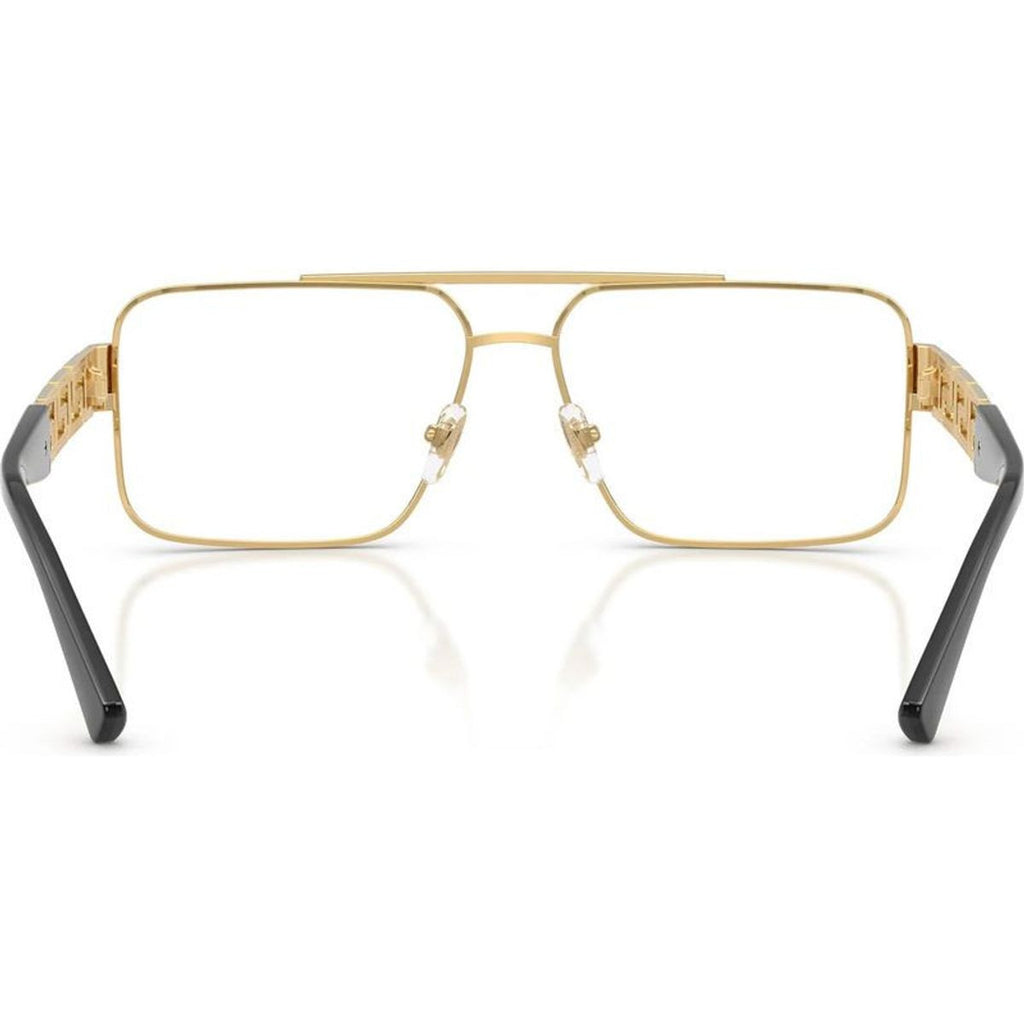 VE1308, Gold/Clear Lenses 56 Eye Size