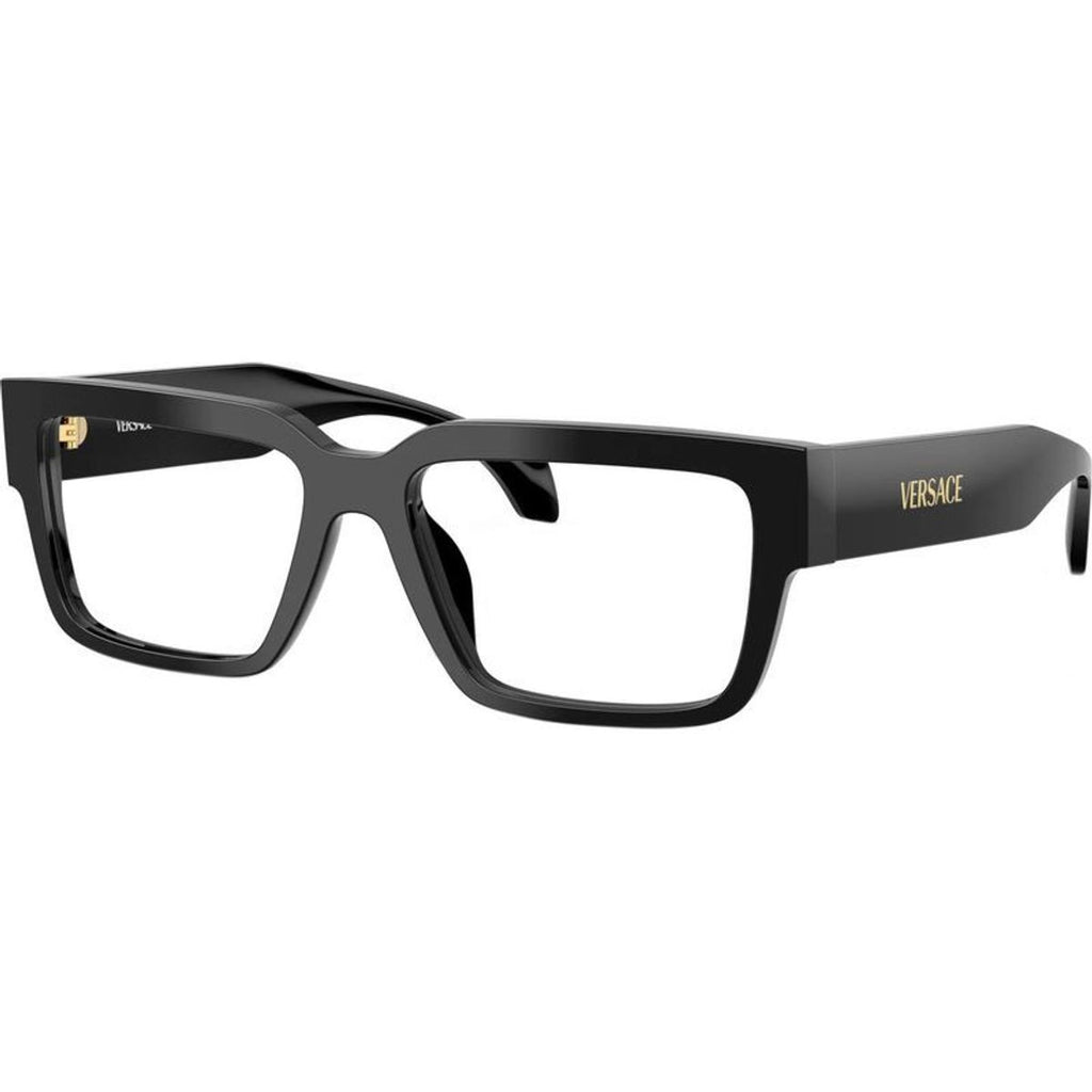 VE3374U, Black/Clear Lenses 55 Eye Size