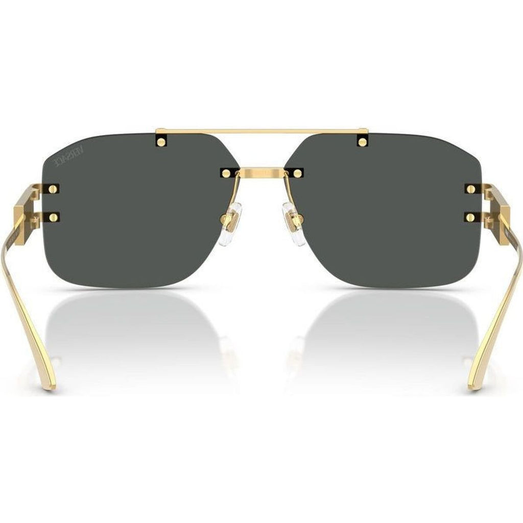 VE2275, Gold/Dark Grey Lenses
