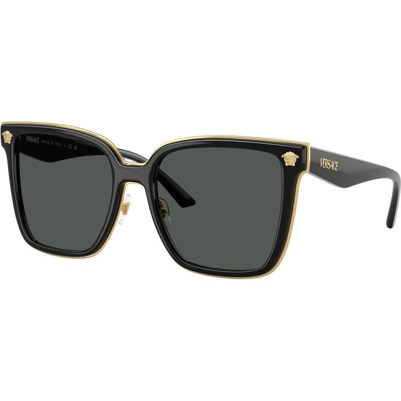 VE2278D, Black/Dark Grey Lenses