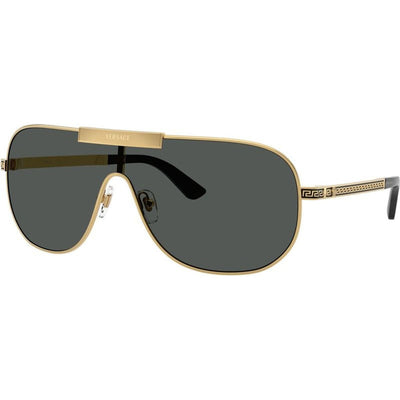 VE2293, Gold/Dark Grey Lenses