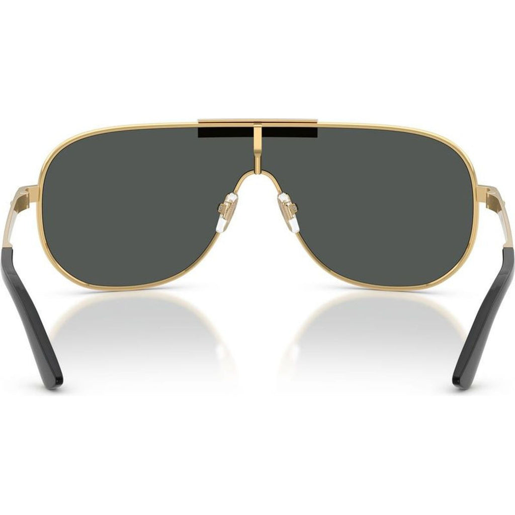VE2293, Gold/Dark Grey Lenses