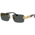 VE2298, Gold/Dark Grey Lenses