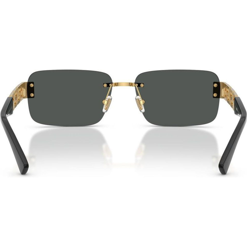 VE2298, Gold/Dark Grey Lenses