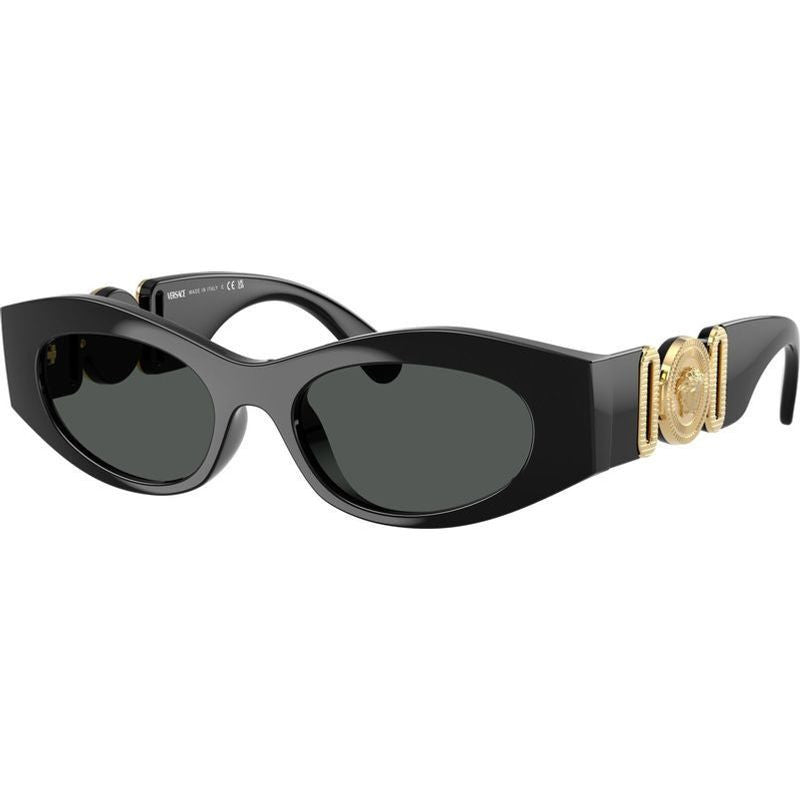 VE4480U, Black/Dark Grey Lenses
