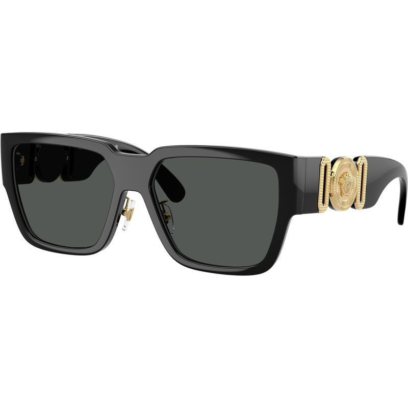 VE4483D, Black/Dark Grey Lenses