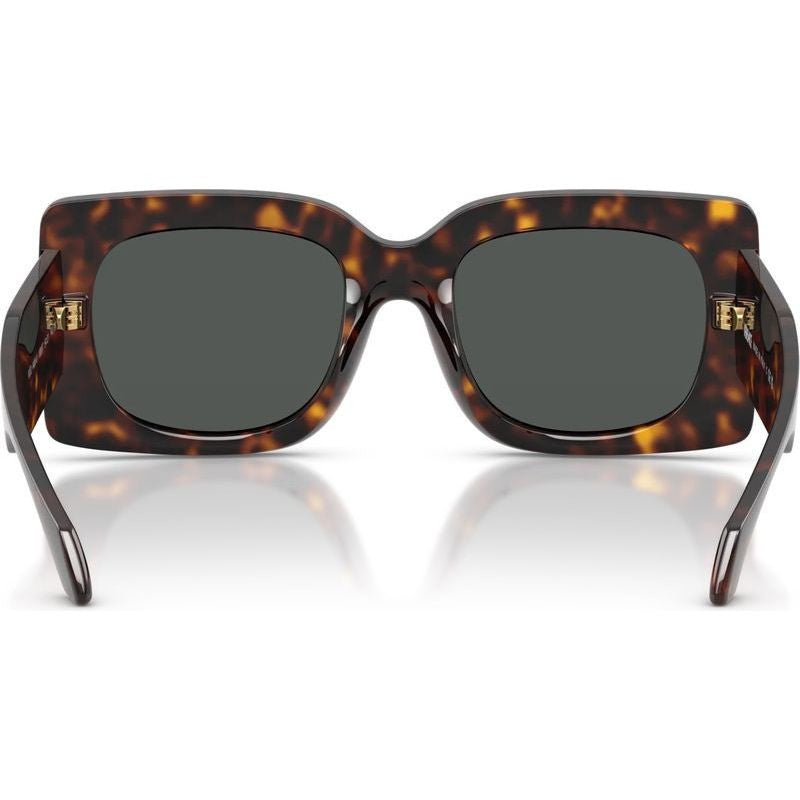 VE4496U, Havana/Dark Grey Lenses
