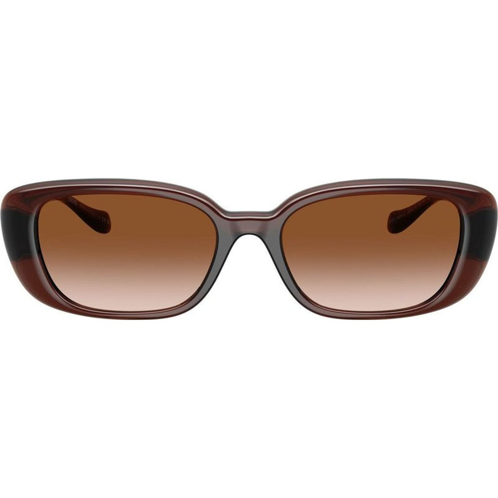 VE4504D, Transparent Brown/Brown Gradient Lenses