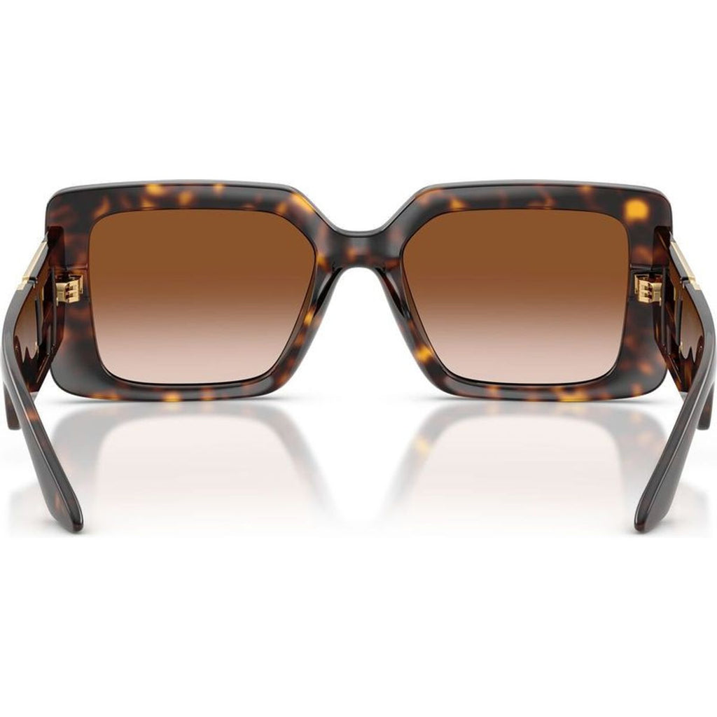 VE4505U, Havana/Brown Gradient Lenses
