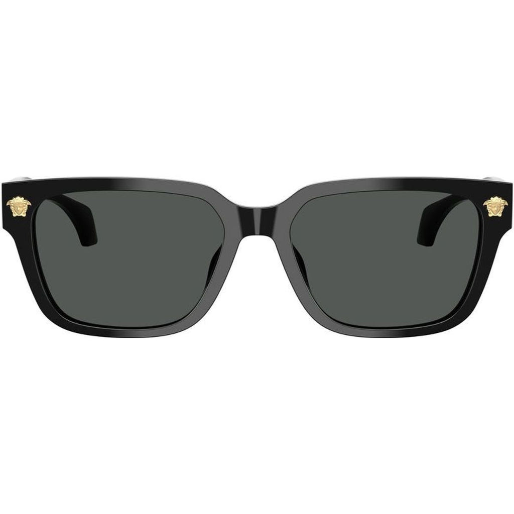 VE4513D, Black/Dark Grey Lenses