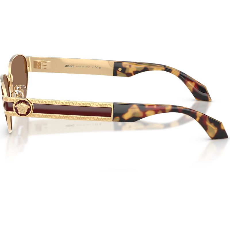 Versace VE2304 Gold Dark Brown Side