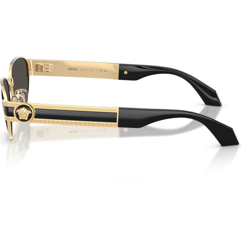 Versace VE2304 Gold Versace Dark Grey Side