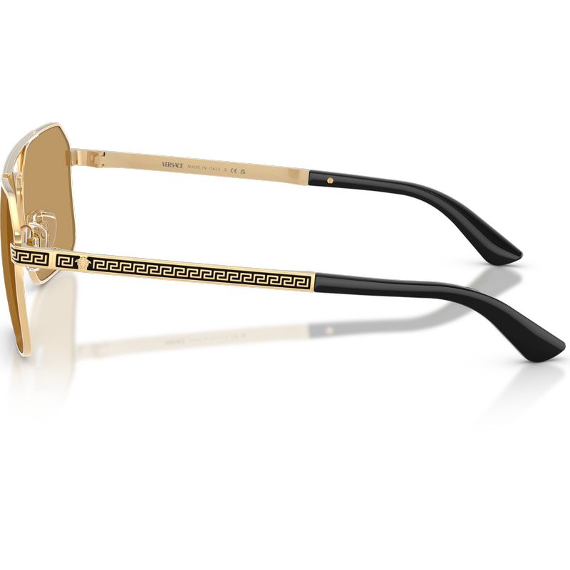 Versace VE2306 Gold Versace Brown Side