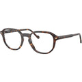 VO5708, Dark Havana/Clear Lenses 51 Eye Size