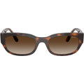 VO5669S, Dark Havana/Brown Gradient Lenses