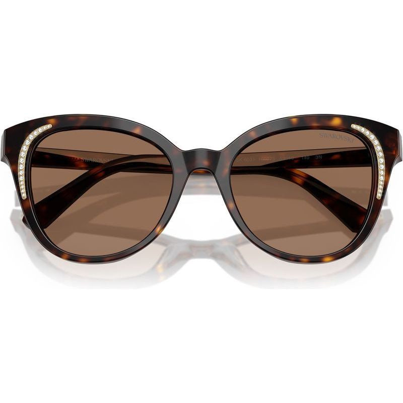 SK6031, Dark Havana/Dark Brown Lenses